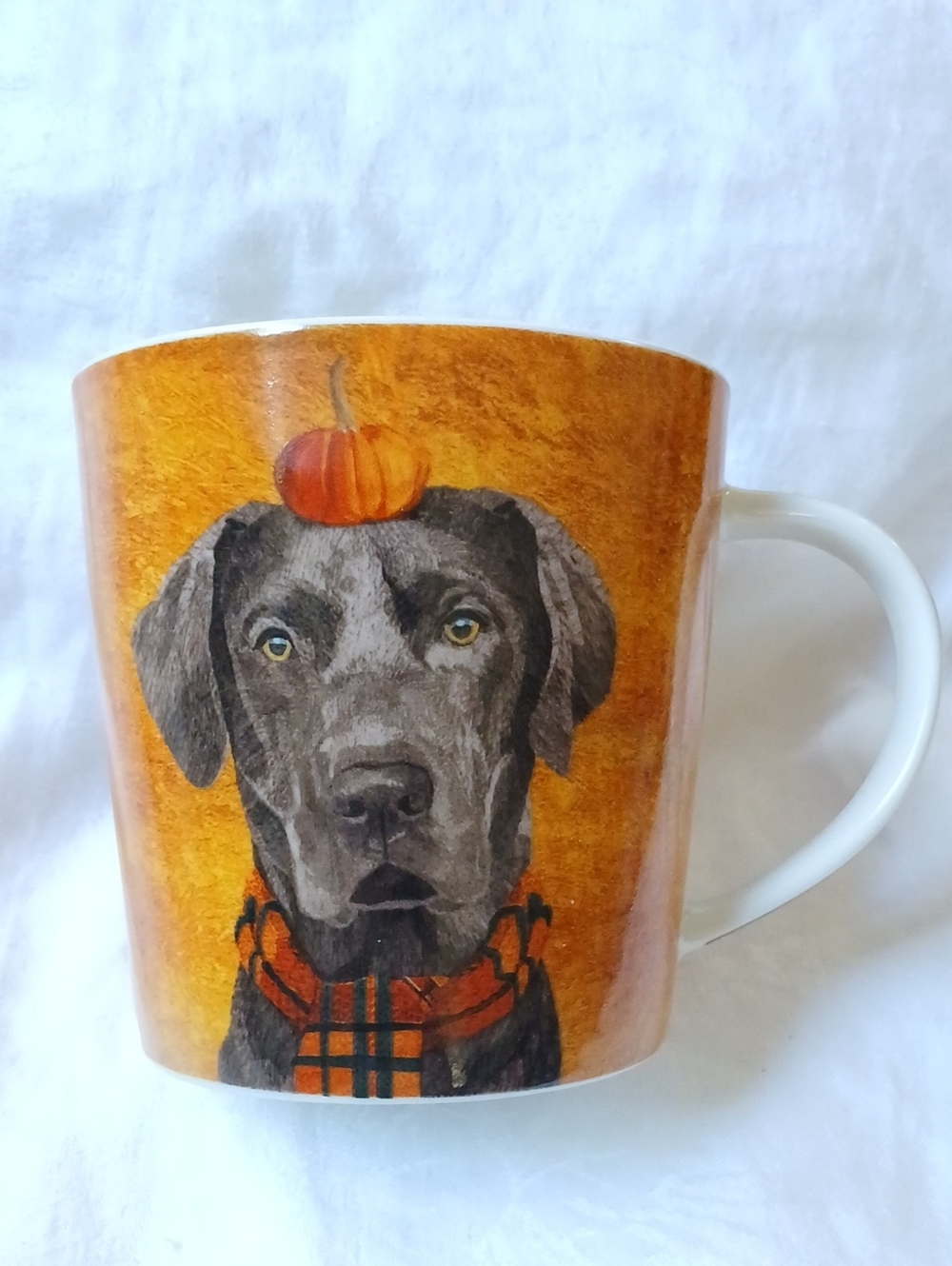 PPD Paper Products Design Trend Mug Brownie New Bone China 13.5 oz With Box